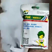 蔬菜大棚《红蜘蛛蓟马克星——高效烟雾剂来袭》