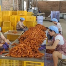 红薯干红薯条地瓜干香薯干源头商超电商批发源头加工厂真空