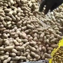 基地鲜花欢迎各位客商联系