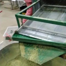优质，青麦粒