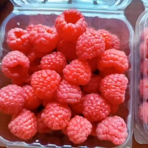 树莓鲜果