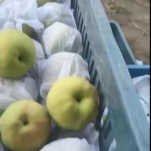 香梨🍐