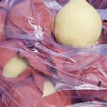 孤山酥梨热销中