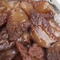 山东渤海湾特大角