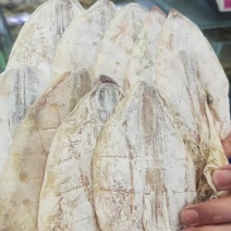 烧烤专用精品鱿鱼干
