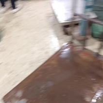二两母蟹