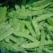 出售速冻油豆角