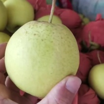 各种梨品类，欢迎老板咨询价格美丽
