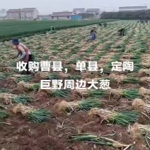 土地出租