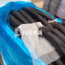 寿光蔬菜，紫把长茄，可供各大平台，商超，市场