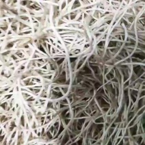 新草上市，大量供应