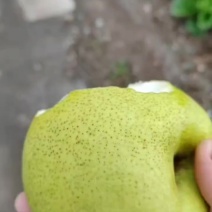 雪花梨