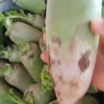 萝卜