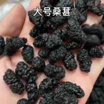 桑葚