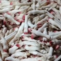 育肥羊蹄