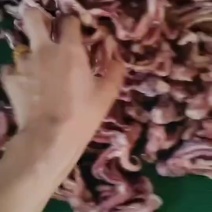 小八爪。可定制