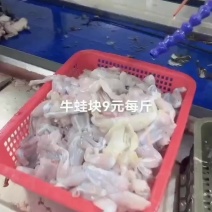 牛蛙块9元每斤鲜活新鲜冷冻批发商用田鸡超大特大青蛙半成