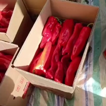 精品