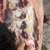 牛肉，整头分体肉，品质好货，放心肉，欢迎来电订购