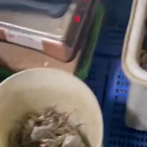 大闸蟹江苏大闸蟹