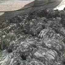 海带干海带散海带福建海带山东海带无黄叶肉厚产地直发
