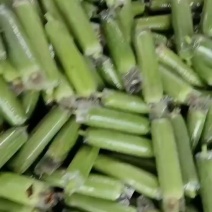 精品肉丝瓜，对接平台，商超，微商，电商货