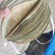 鲜香干荷叶整张荷叶圆形方形扇形接定制