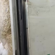 新鲜当阳鱼腥草根，每日1-2万斤水田根质量保证