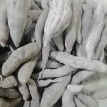 紫薯，红瑶红薯，烟薯，龙九西瓜红薯哈蜜大量有货，大薯小薯