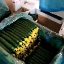 密刺黄瓜