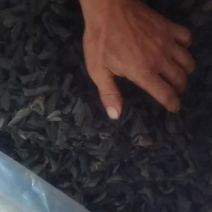 东北黑木耳干木耳大量上市保质保量可视频看货欢迎咨询
