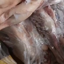 大鹅，老鹅，都有货