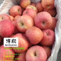 苹果纸袋高垣货，山西永和山地红富士。