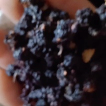 黑桑葚干