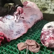 四分体牛肉