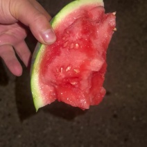 无子麒麟西瓜