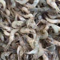 河虾