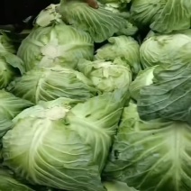 新鲜蔬菜，甘蓝莲花白