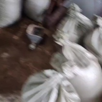 大量供应有机肥，鸡粪，鸭粪，羊粪，大量供应，量大从优