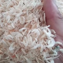 虾皮出新货！电商实体大量供应现货！