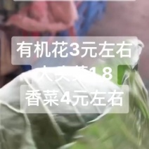 散花，甘蓝，大量现货供应