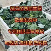西兰花