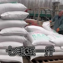 大片麦麸