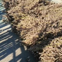 大豆，人工除草，自己家留着吃的，多出的卖一点