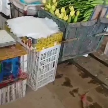原产地直发直采，质量上乘，品质保证，货源充足