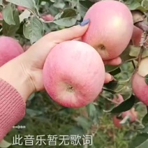 苹果便宜