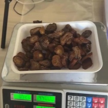 【精品】肉苁蓉切片阿拉善肉苁蓉秋冬季油性泡水泡酒男补天然