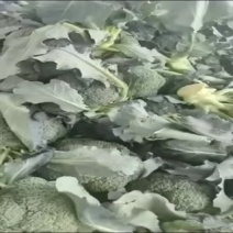 西兰花