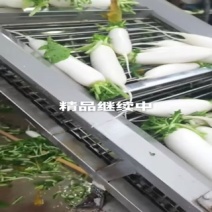 河北白罗卜大量供应中