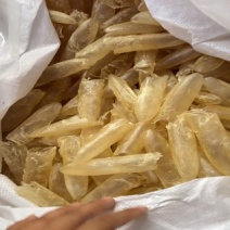 咸水筒白花胶花胶鱼胶80-100头一斤